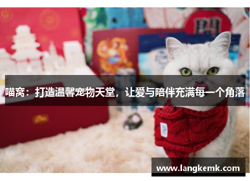 喵窝:打造温馨宠物天堂,让爱与陪伴充满每一个角落 喵窝:打造温馨宠物天堂,让爱与陪伴充满每一个角落