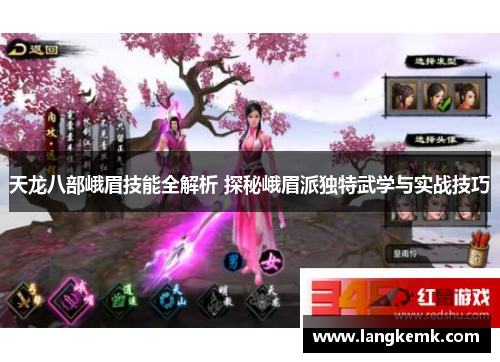 天龙八部峨眉技能全解析 探秘峨眉派独特武学与实战技巧